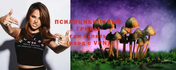 мескалин Чекалин