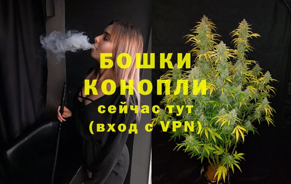 трава Надым