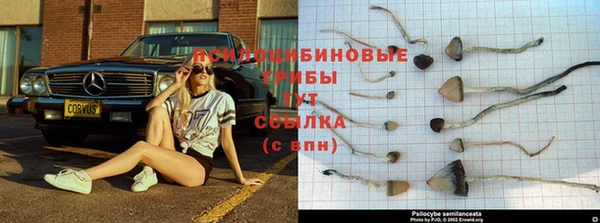 скорость mdpv Навашино