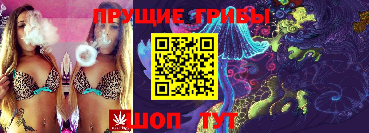 Галлюциногенные грибы Psilocybe  Вход с VPN  Новочебоксарск 